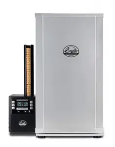 Best electric smoker for beginner