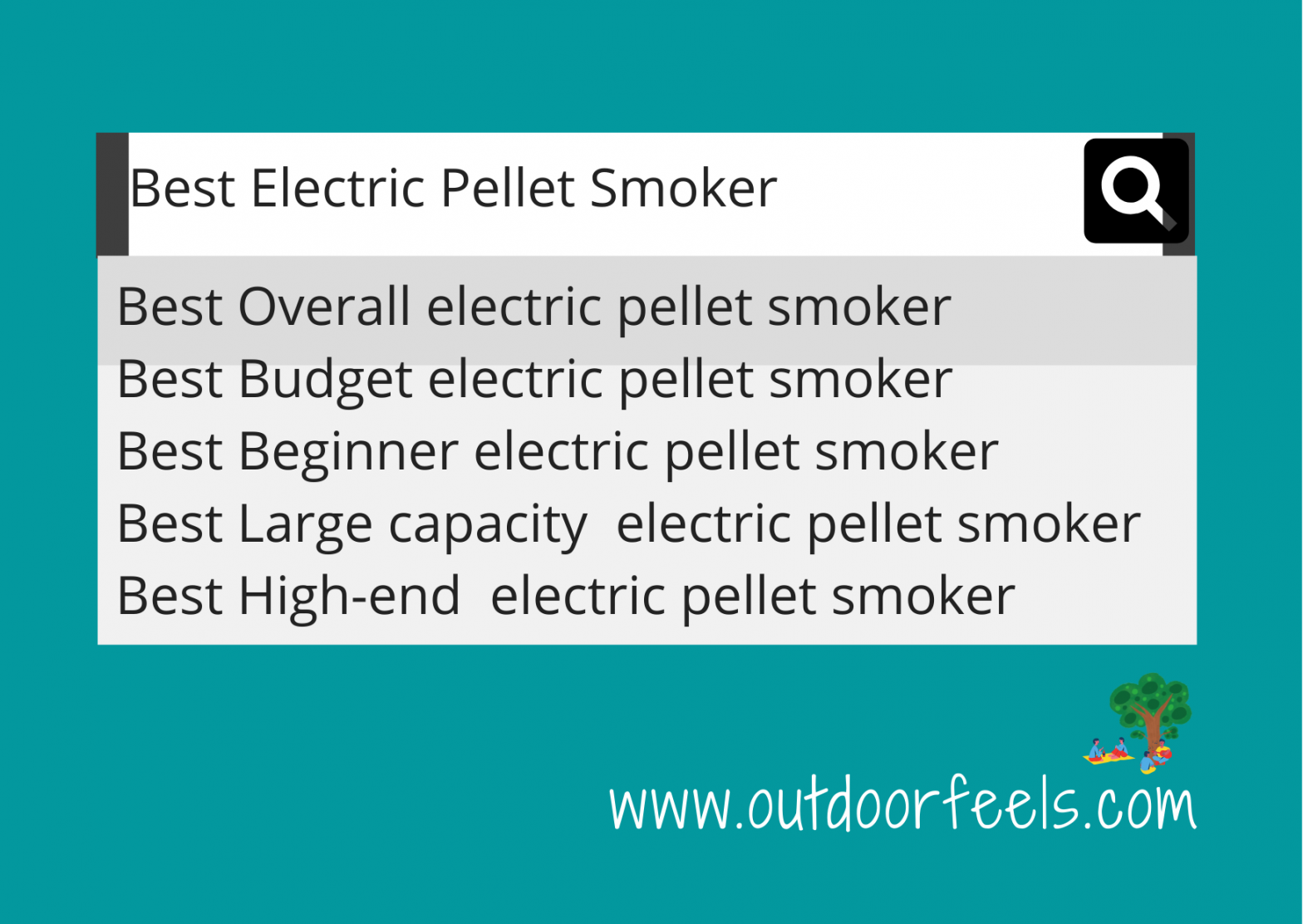 Best Electric Pellet Smoker