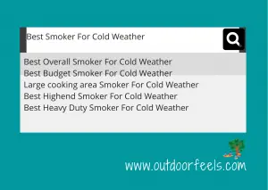 Best Smoker For Cold Weather_ Featured Image
